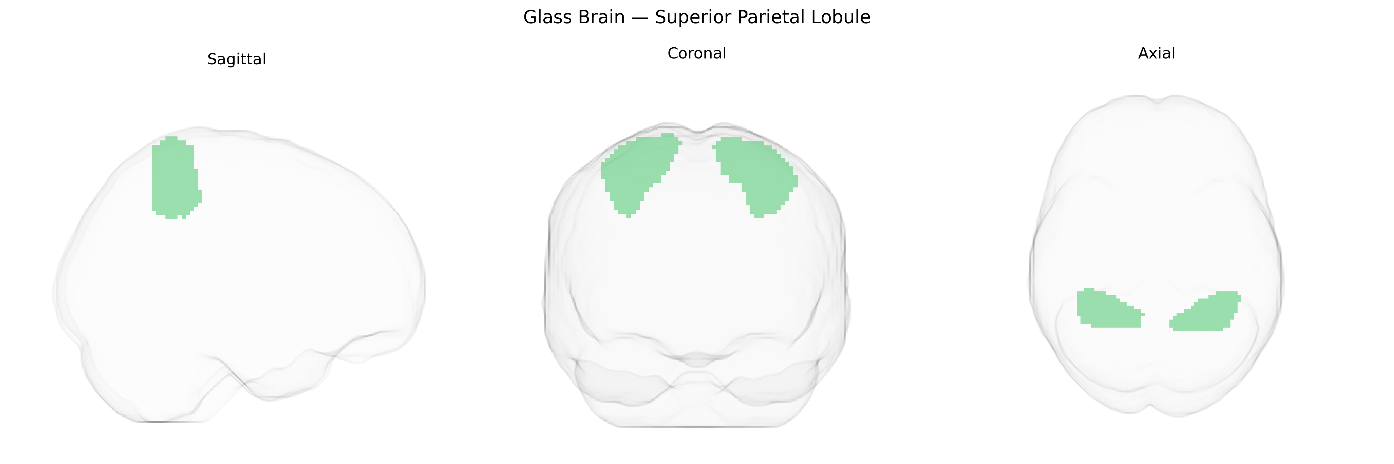 Triplanar Ghost Brain
