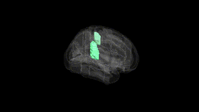 Full Brain Black