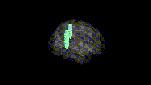 Full Brain Black