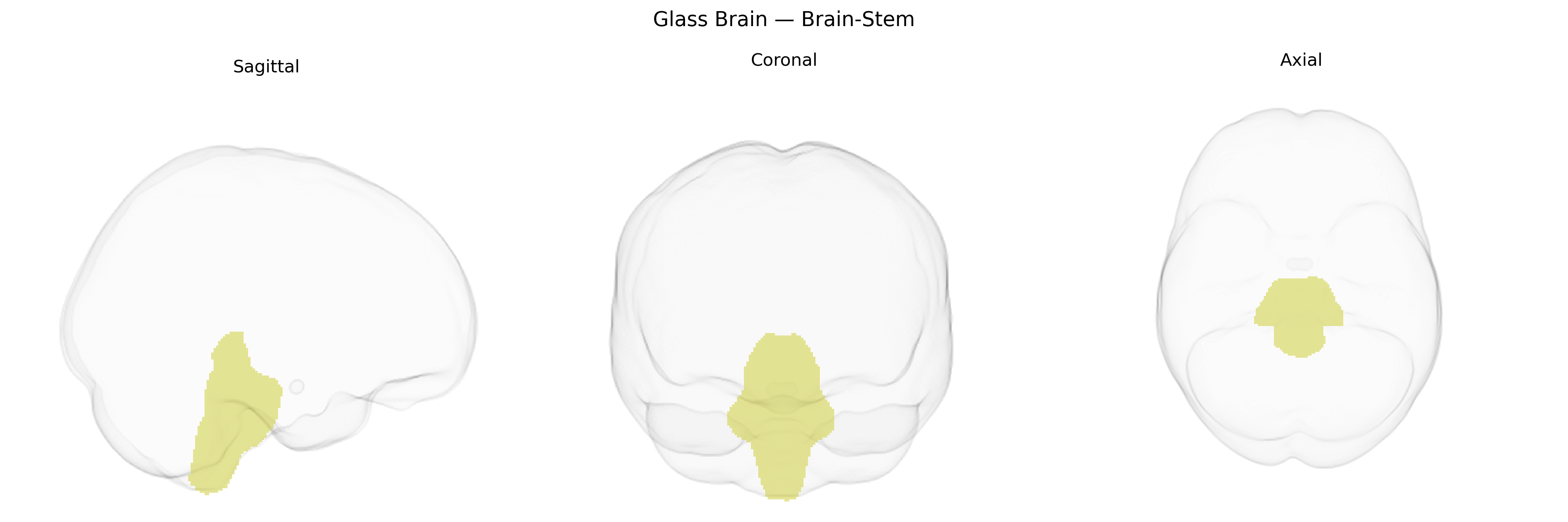 Triplanar Ghost Brain