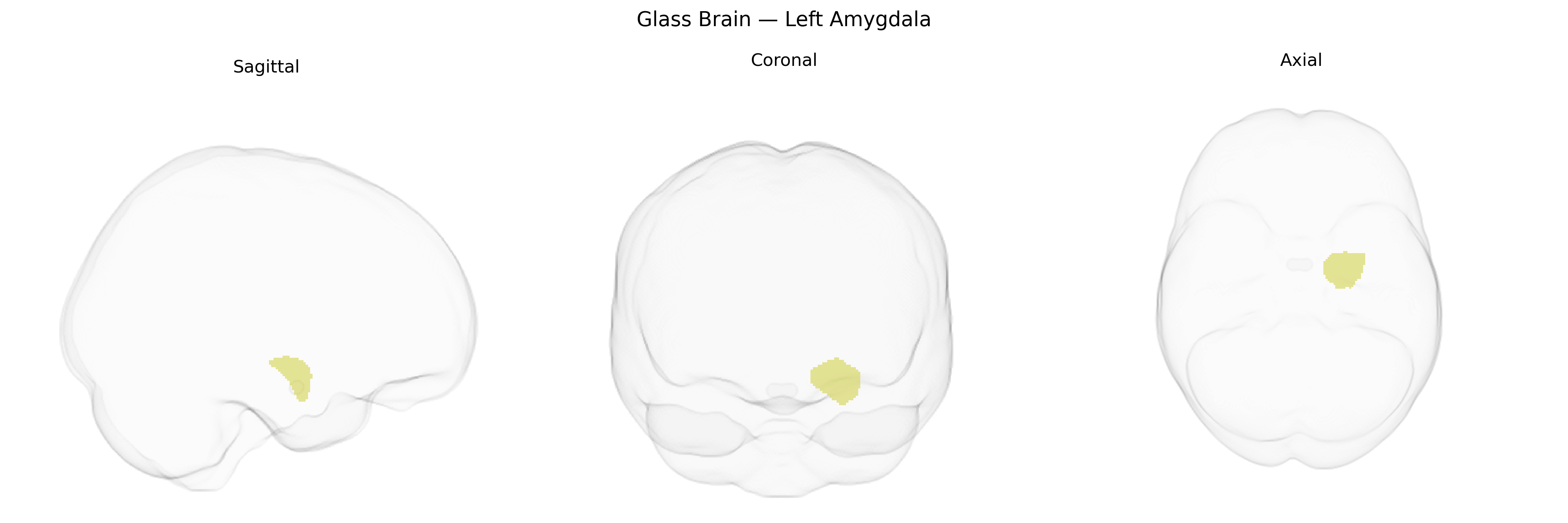 Triplanar Ghost Brain