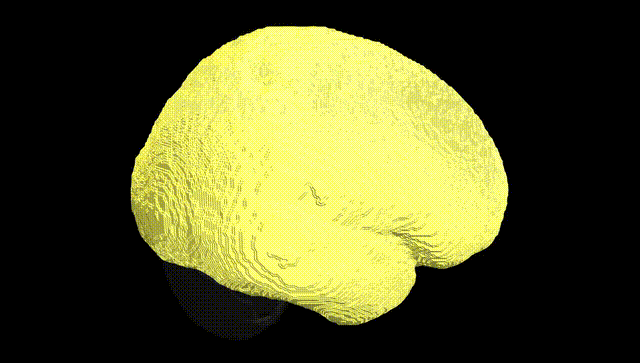 Full Brain Black