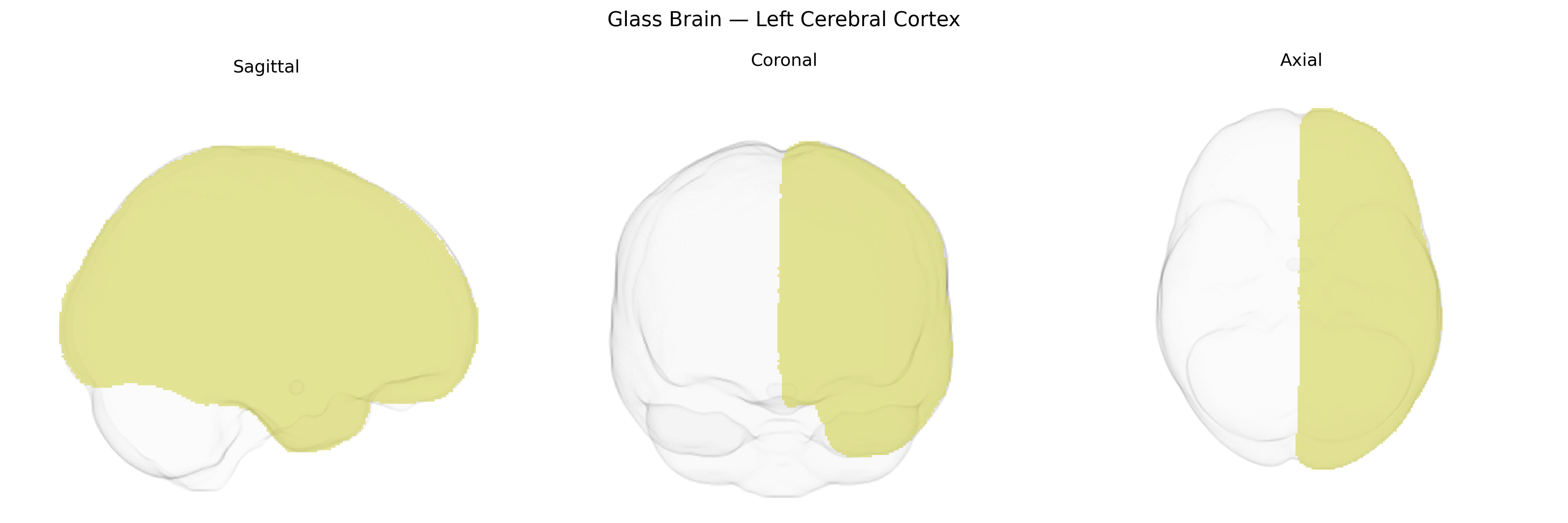 Triplanar Ghost Brain