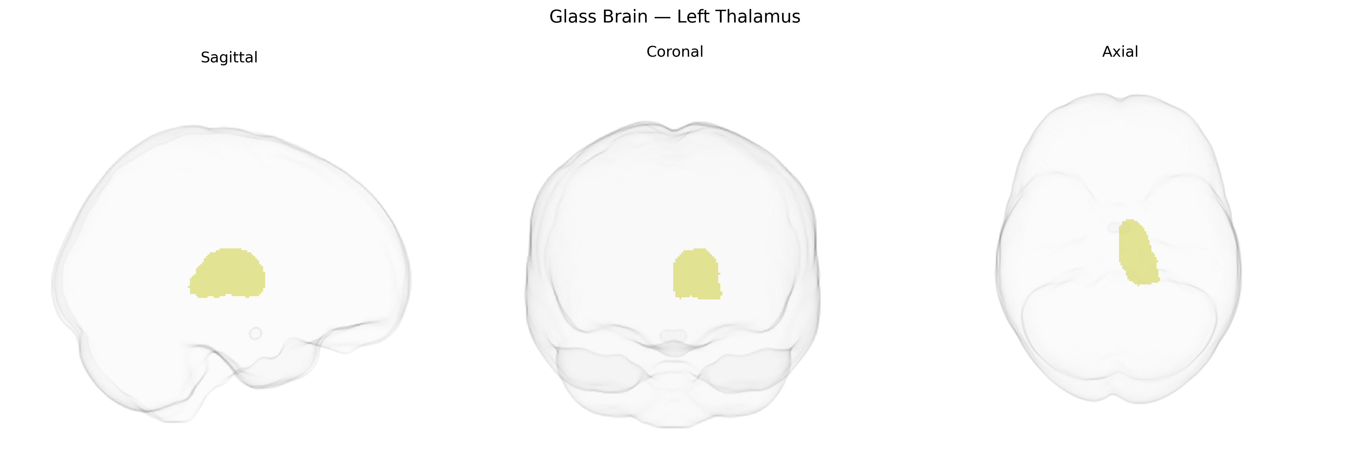 Triplanar Ghost Brain