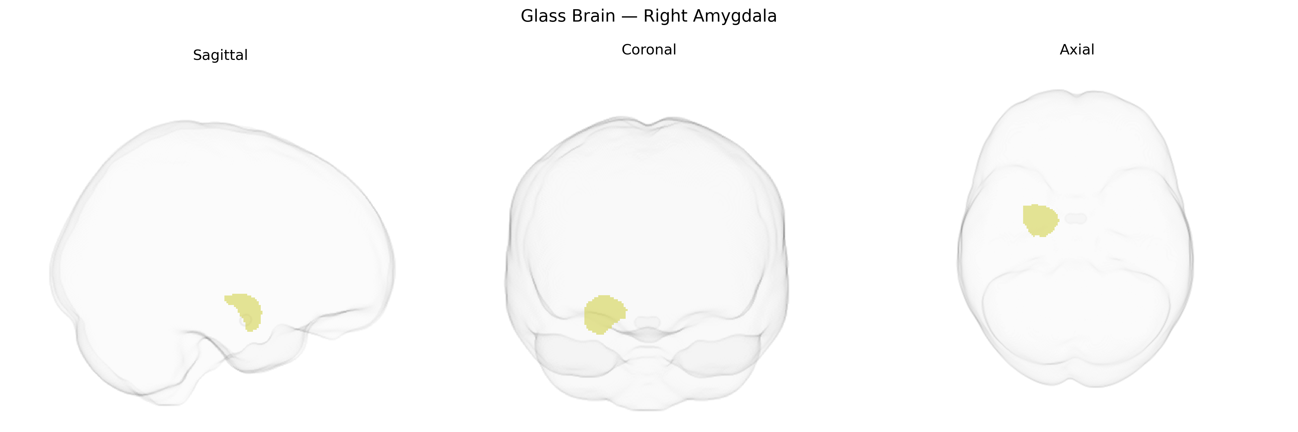 Triplanar Ghost Brain