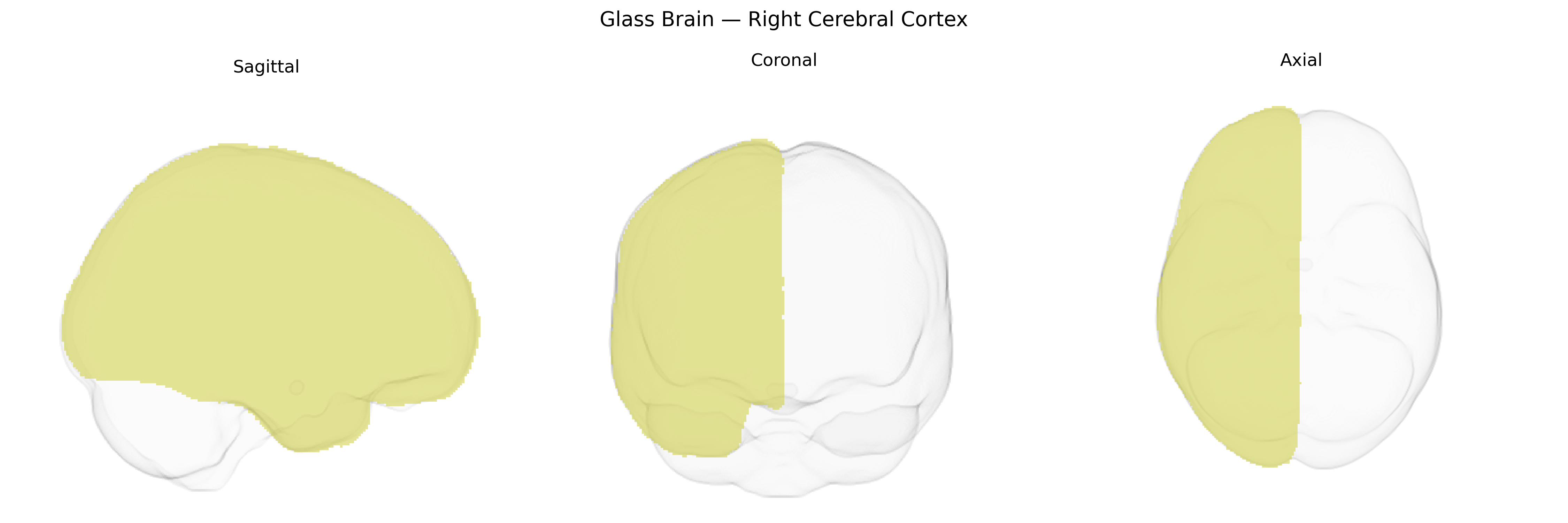 Triplanar Ghost Brain