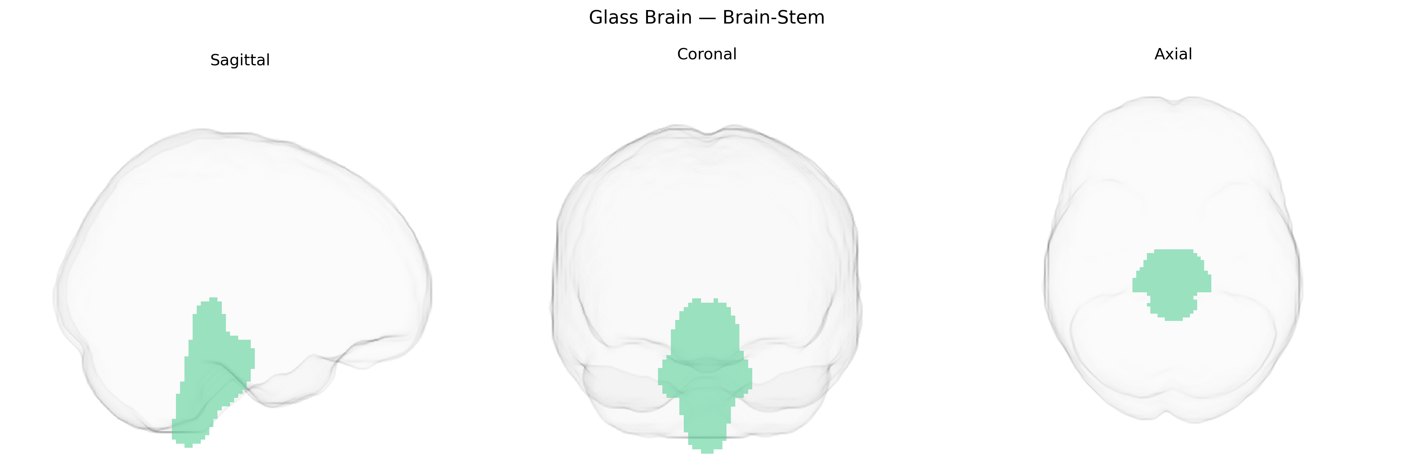 Triplanar Ghost Brain