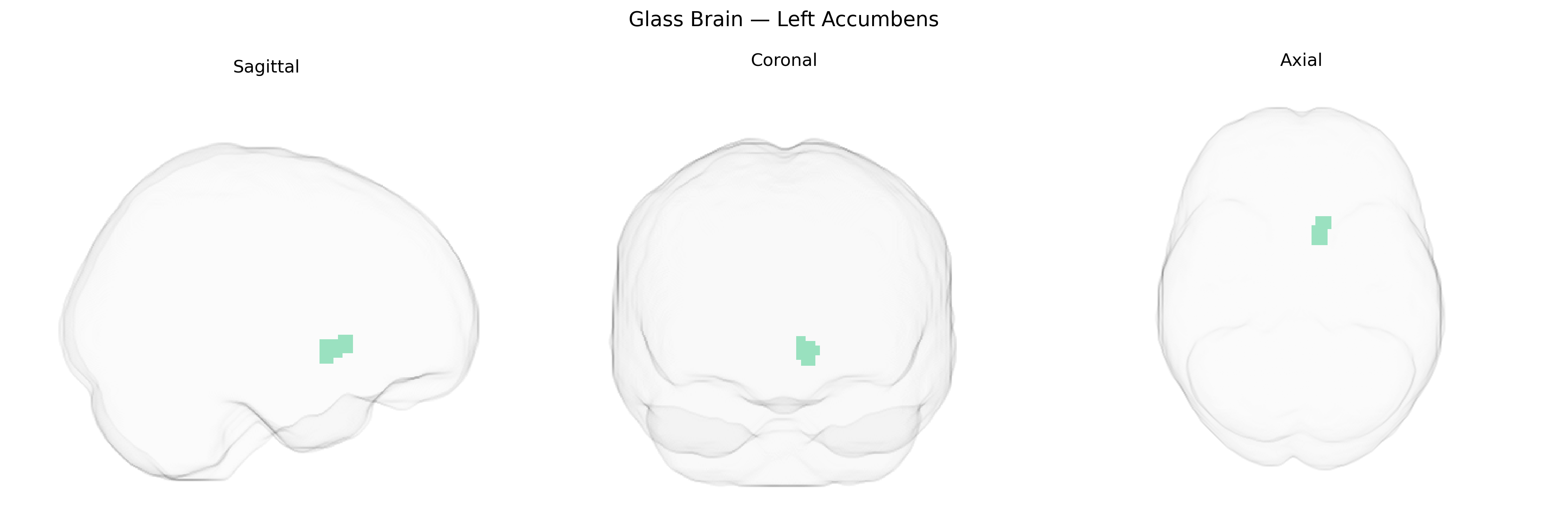 Triplanar Ghost Brain
