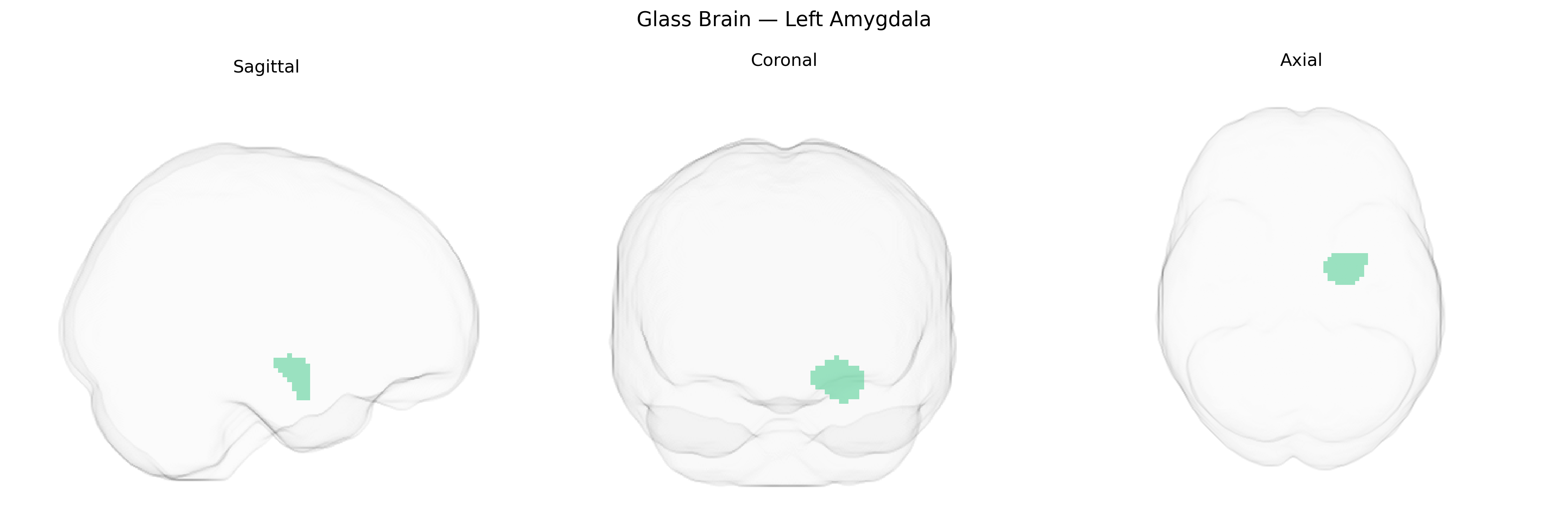 Triplanar Ghost Brain