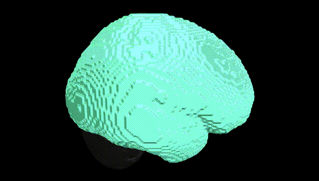 Full Brain Black