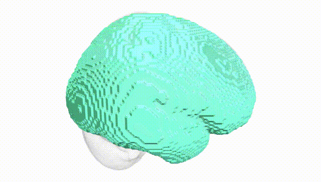 Full Brain White