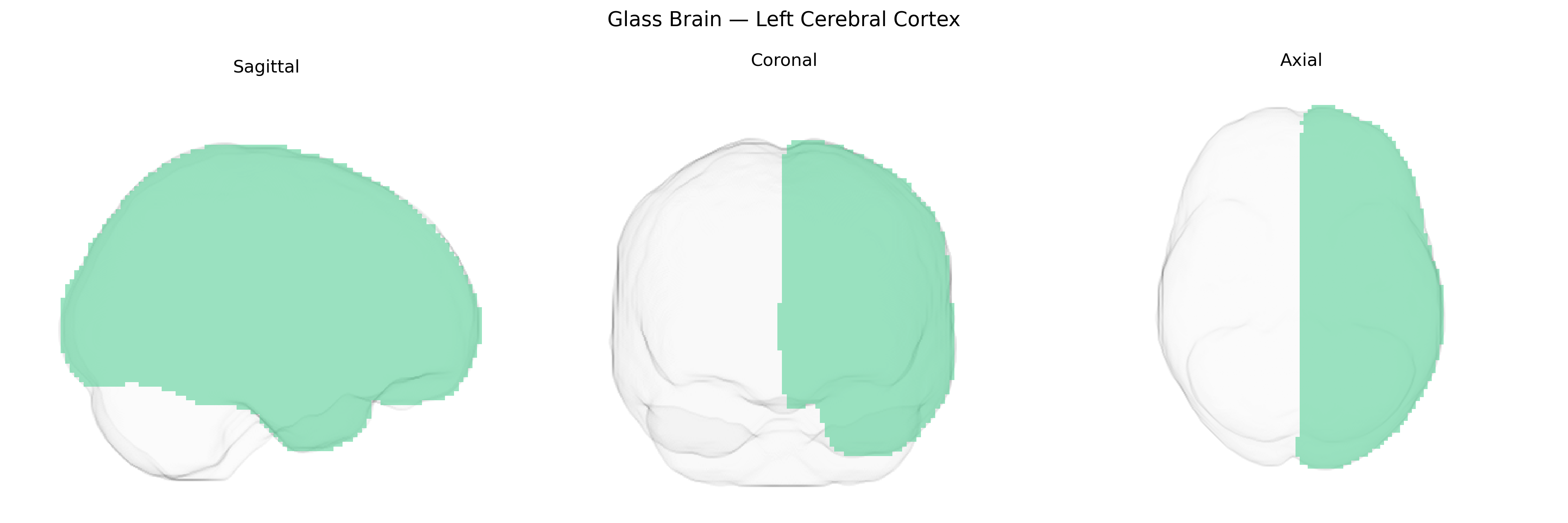 Triplanar Ghost Brain