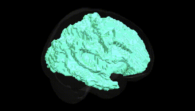 Full Brain Black