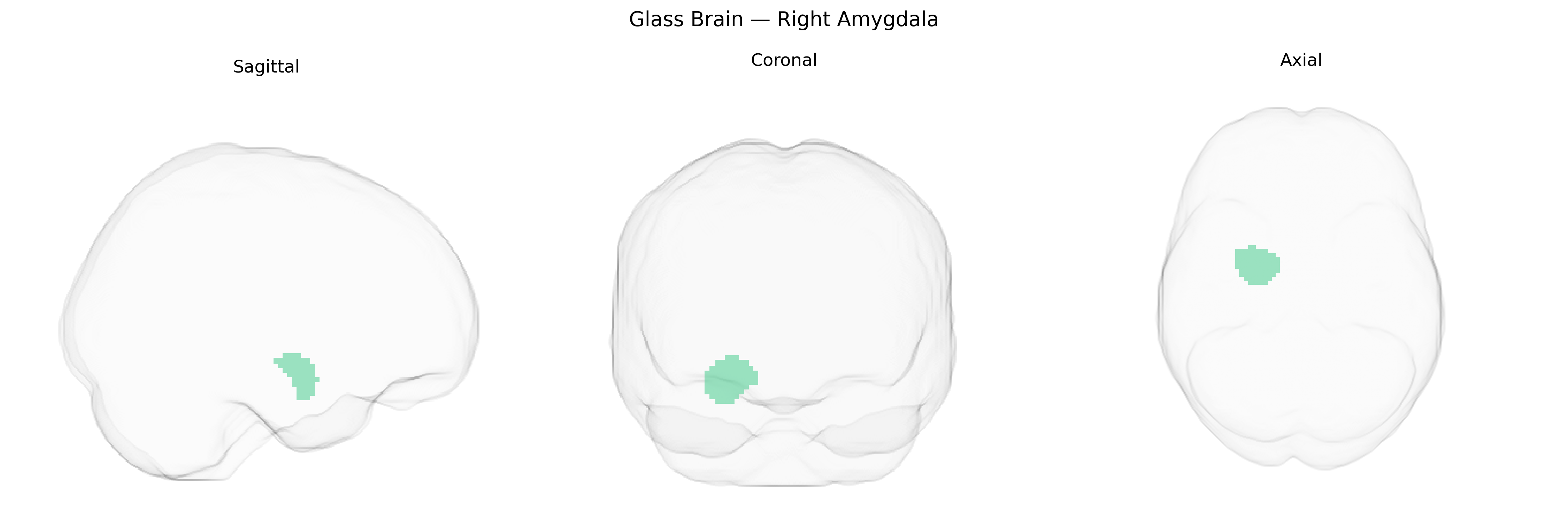 Triplanar Ghost Brain