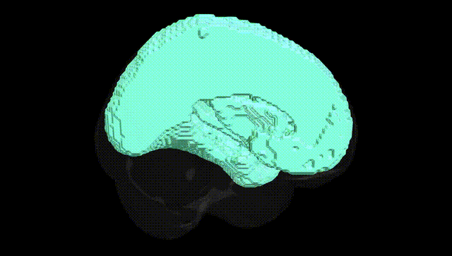 Full Brain Black