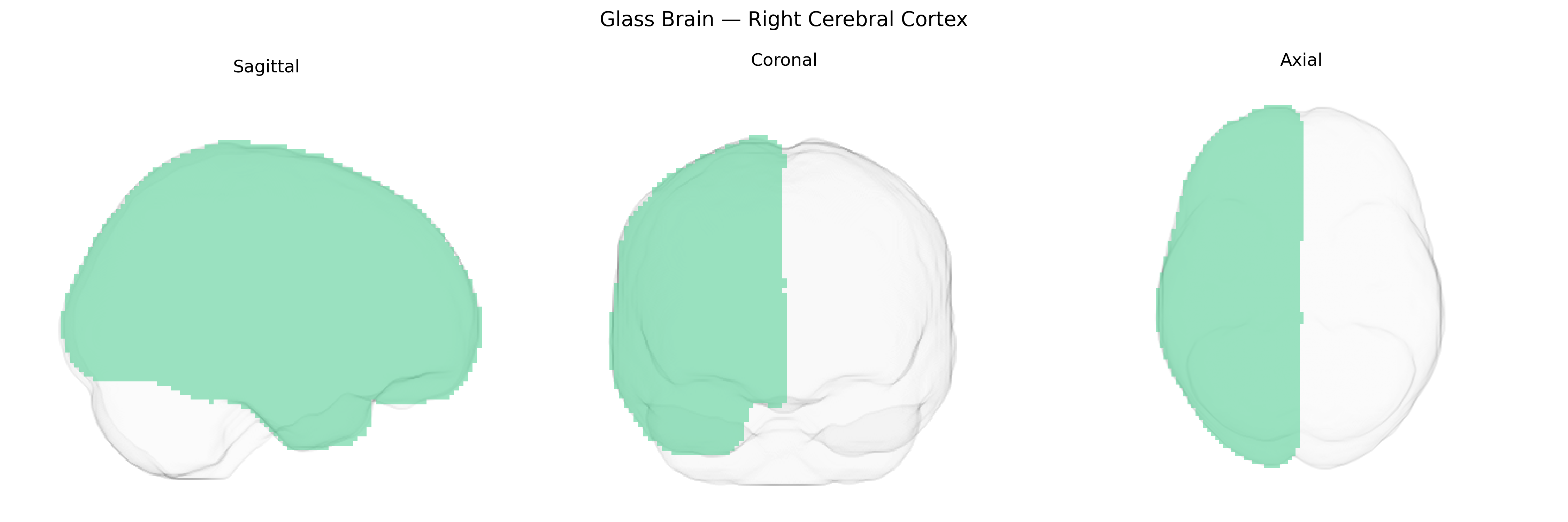 Triplanar Ghost Brain