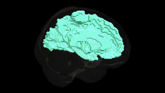 Full Brain Black
