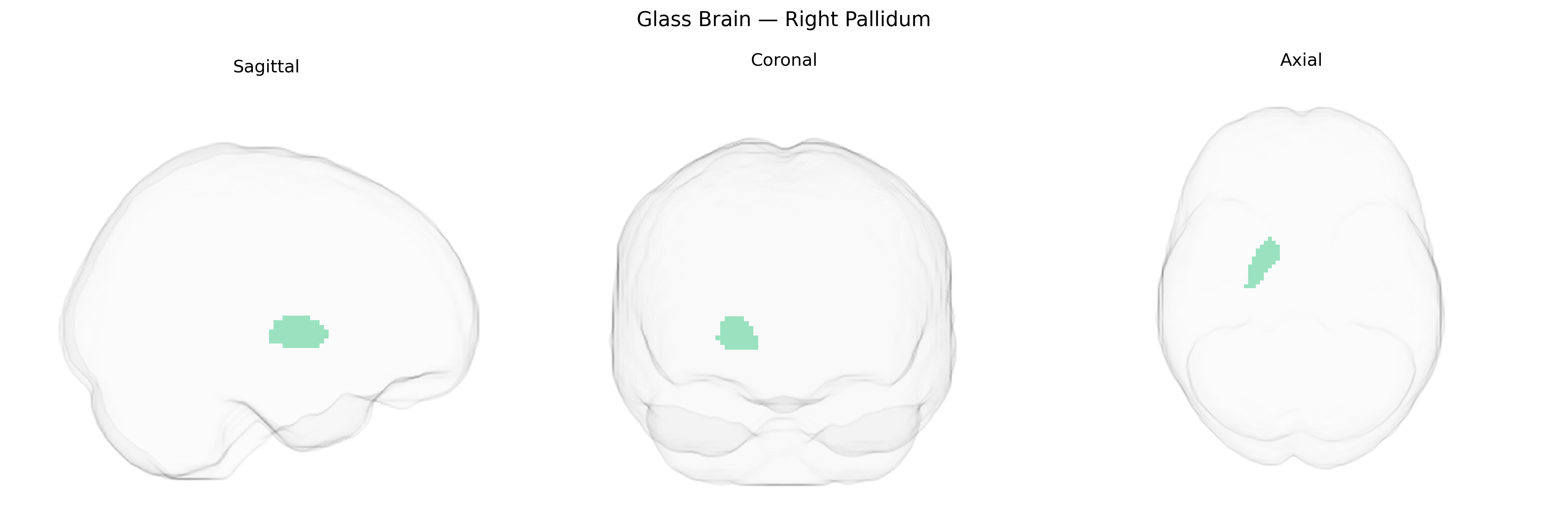 Triplanar Ghost Brain
