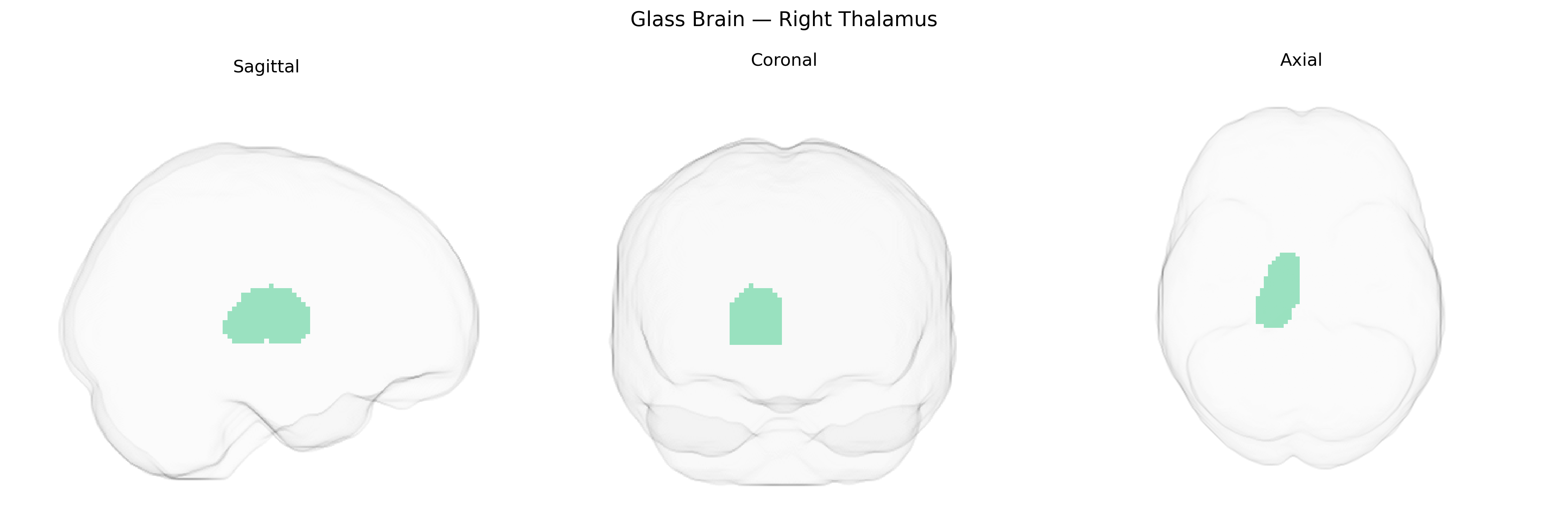 Triplanar Ghost Brain