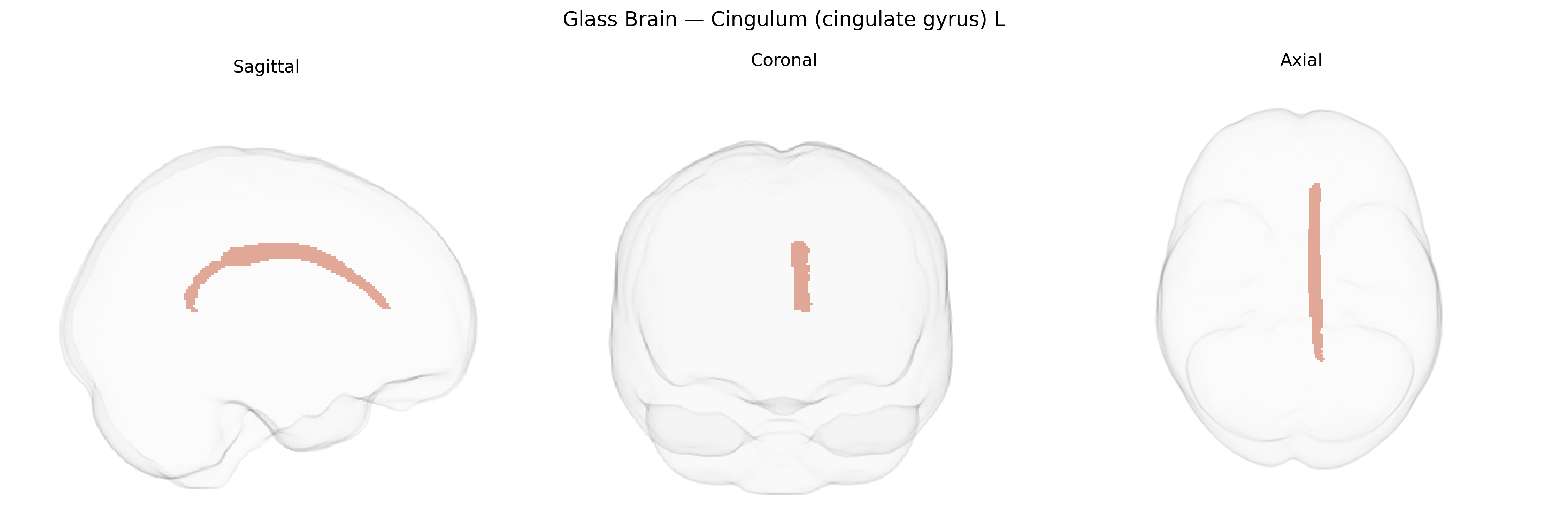Triplanar Ghost Brain