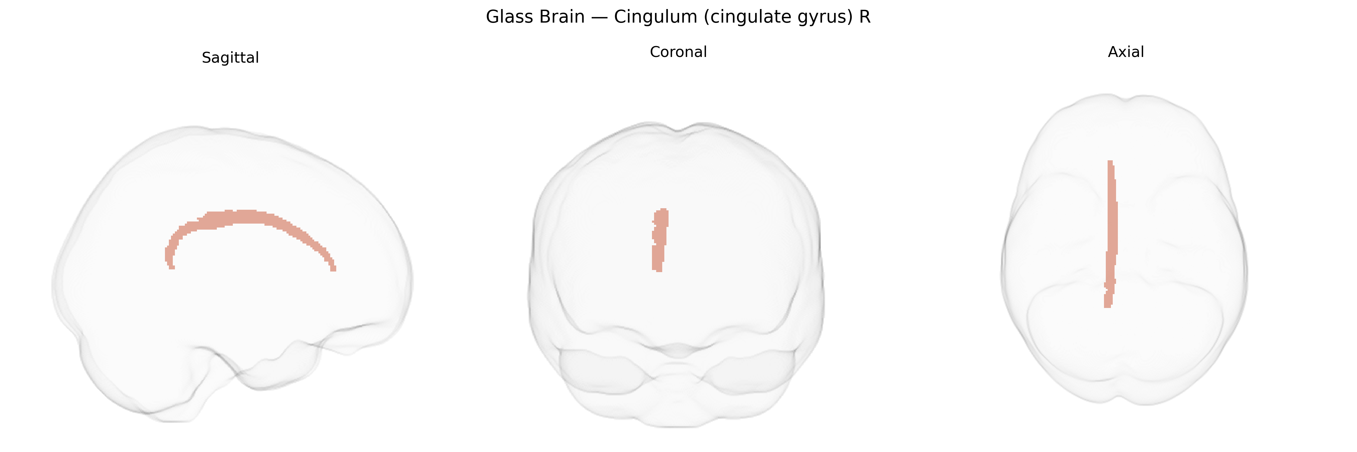 Triplanar Ghost Brain