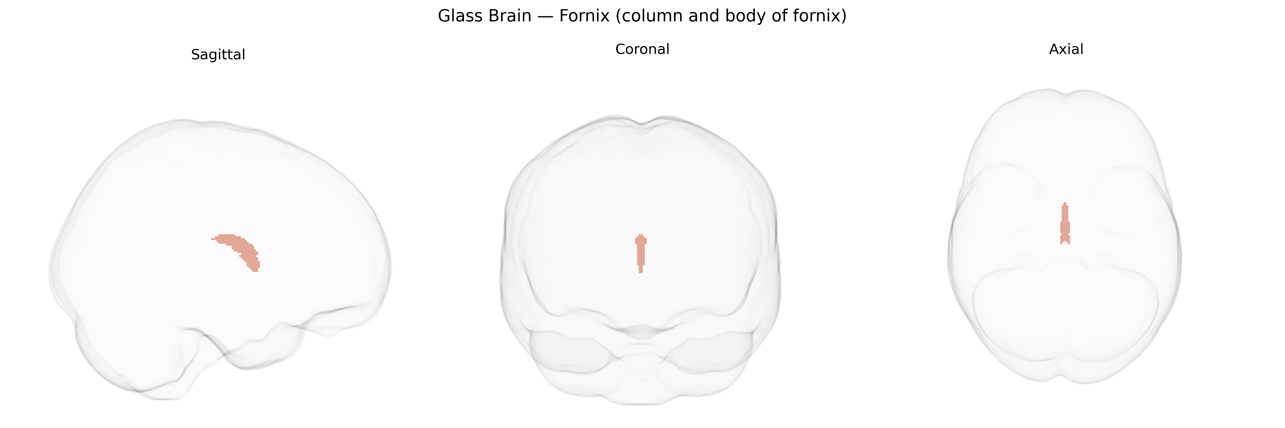 Triplanar Ghost Brain