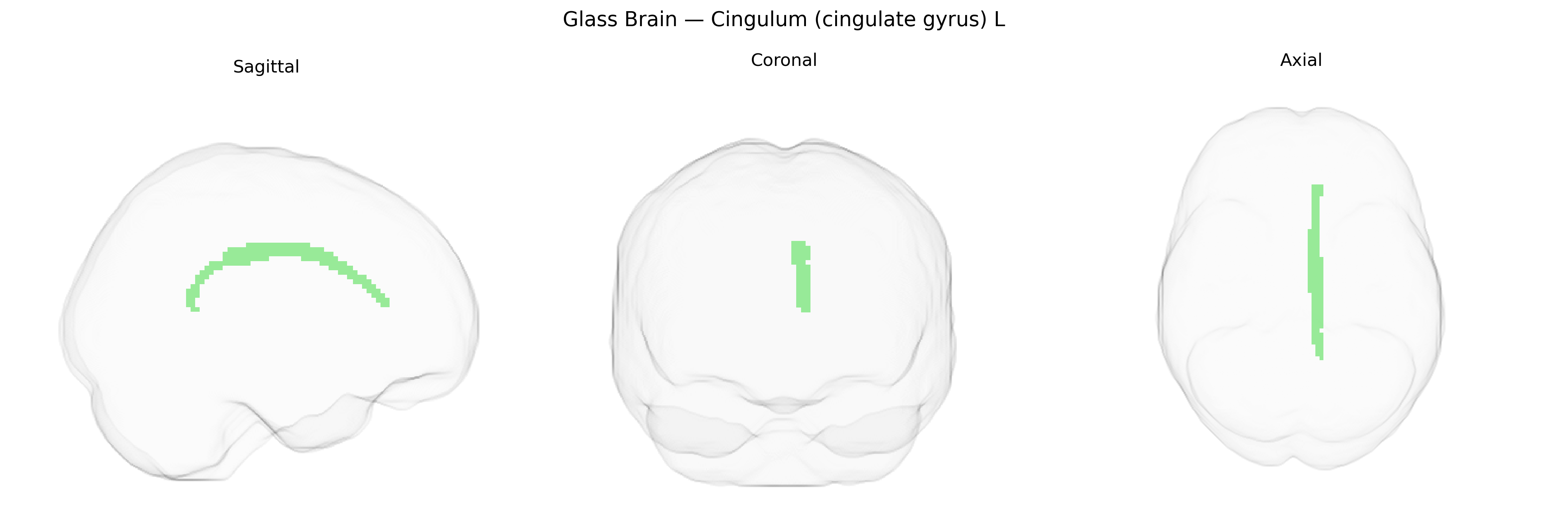 Triplanar Ghost Brain