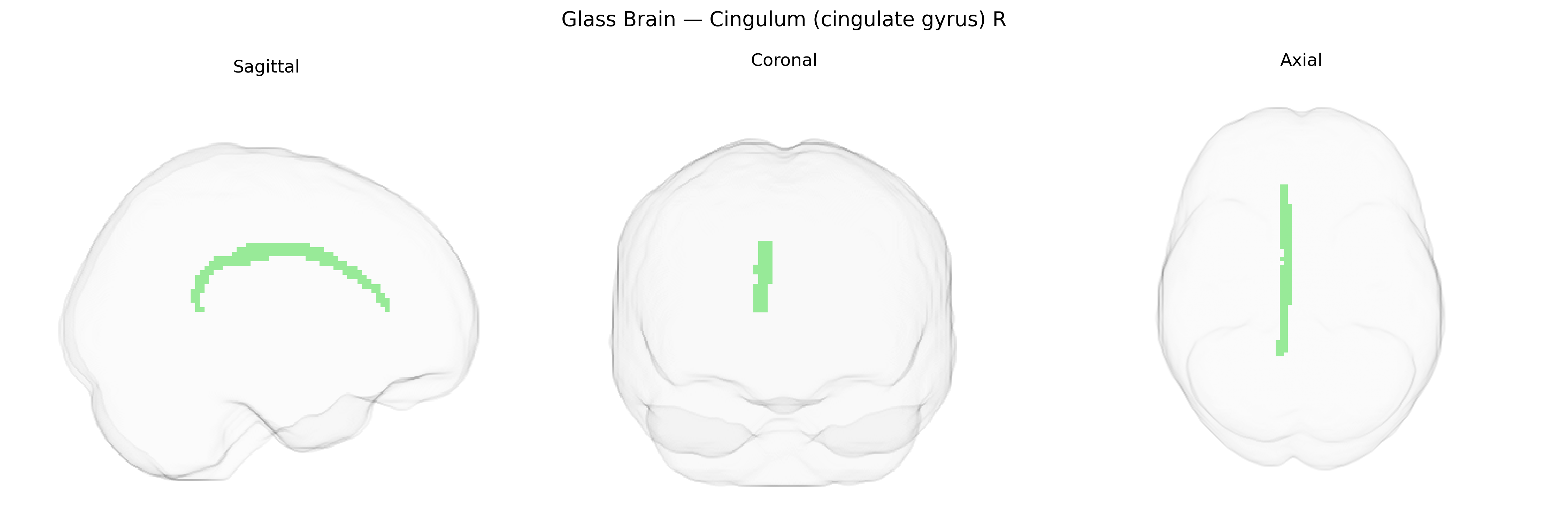 Triplanar Ghost Brain