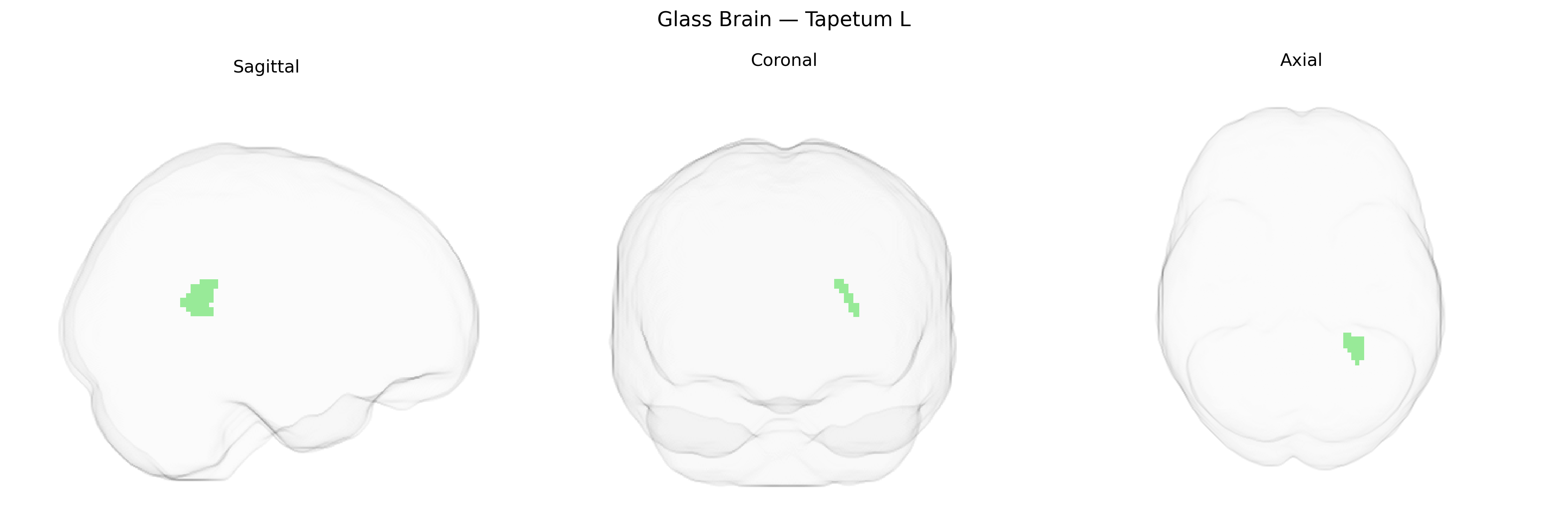Triplanar Ghost Brain
