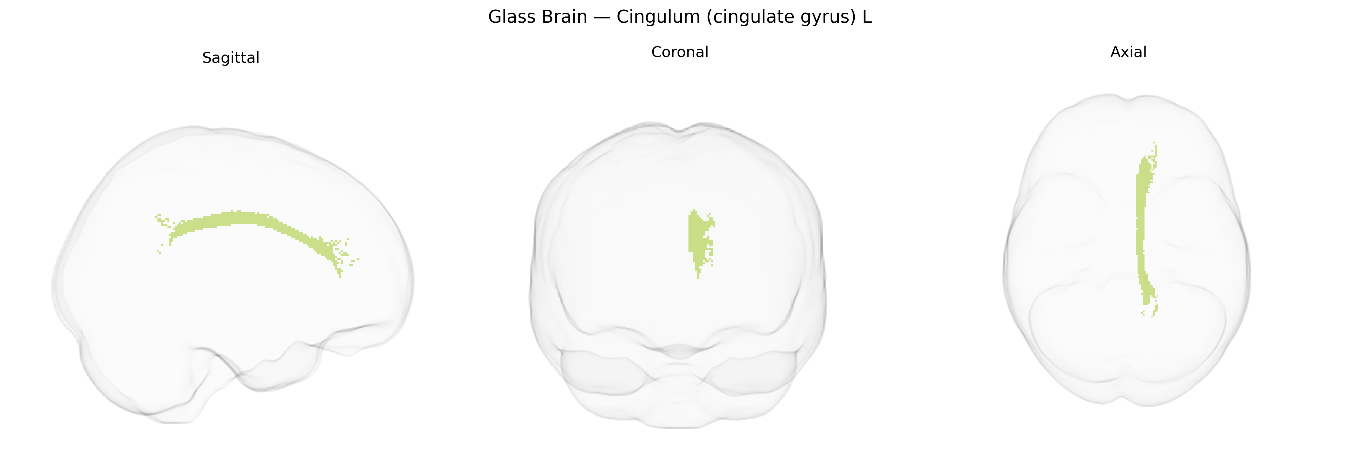 Triplanar Ghost Brain