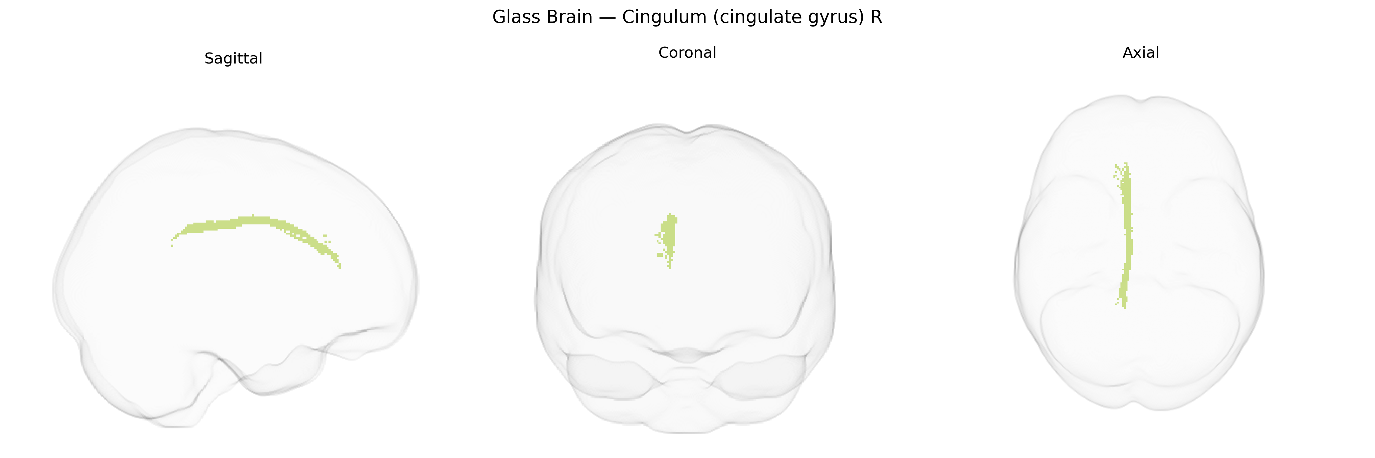 Triplanar Ghost Brain