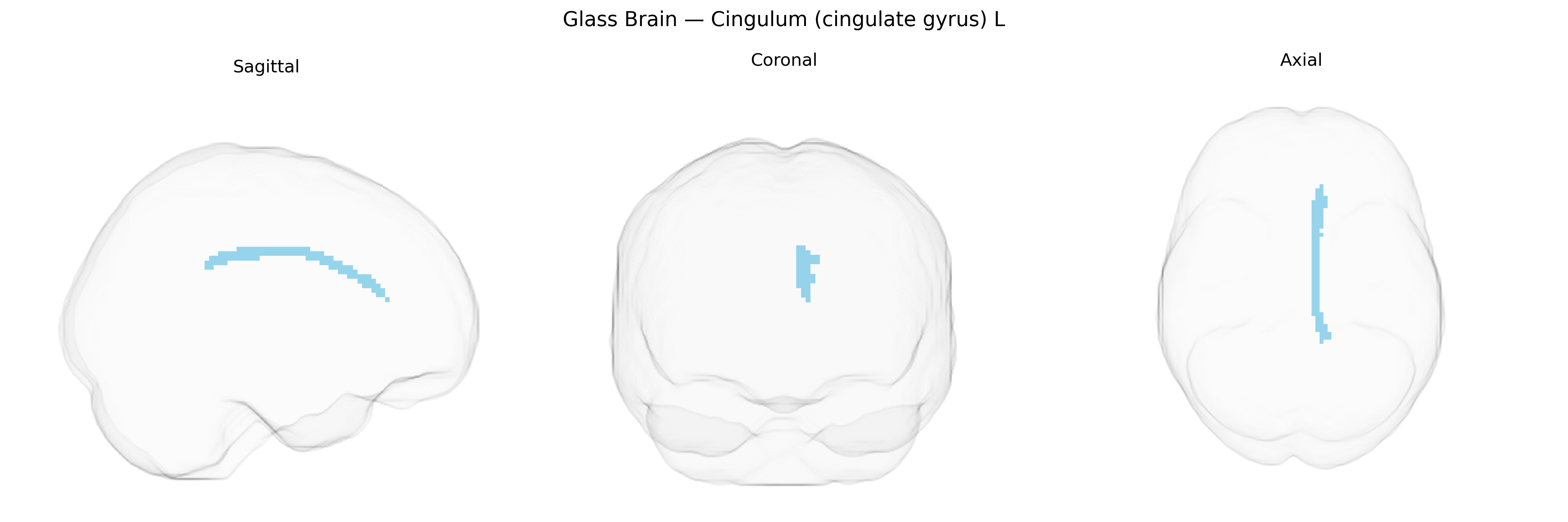 Triplanar Ghost Brain