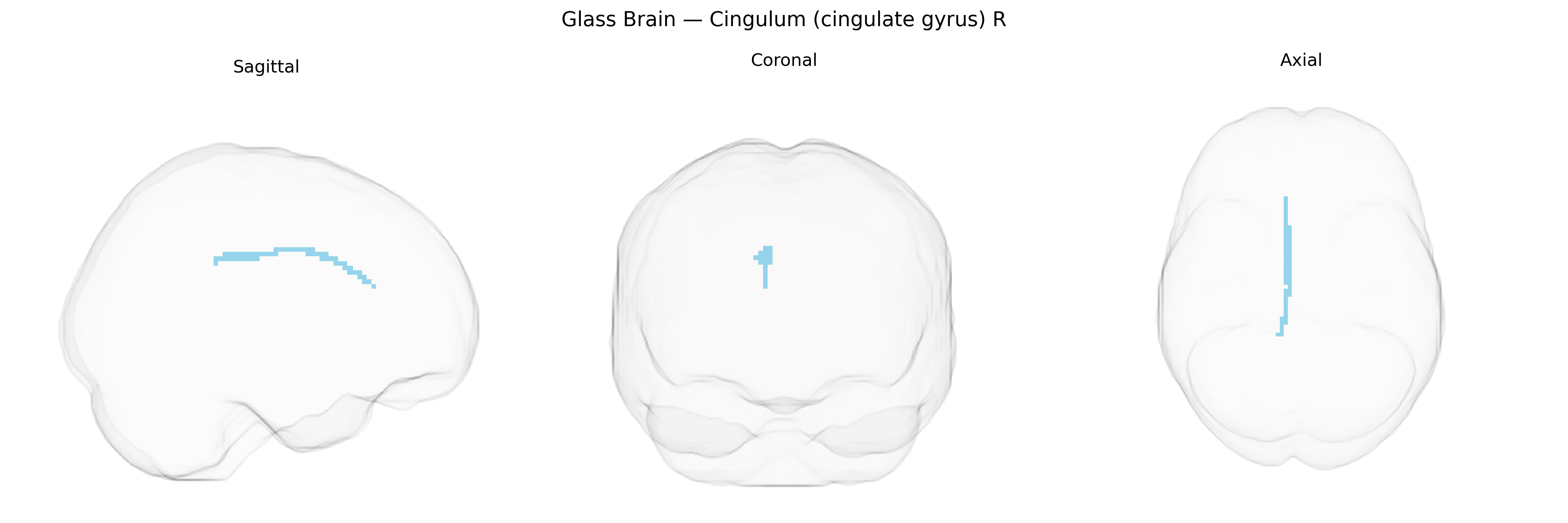 Triplanar Ghost Brain