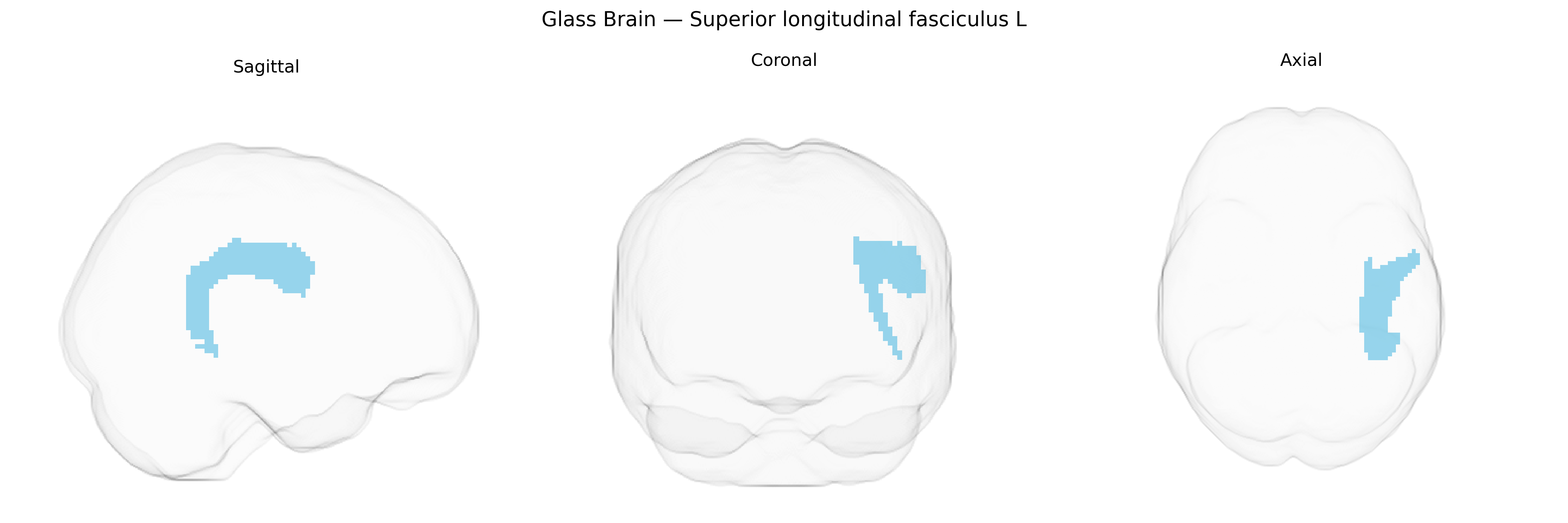 Triplanar Ghost Brain