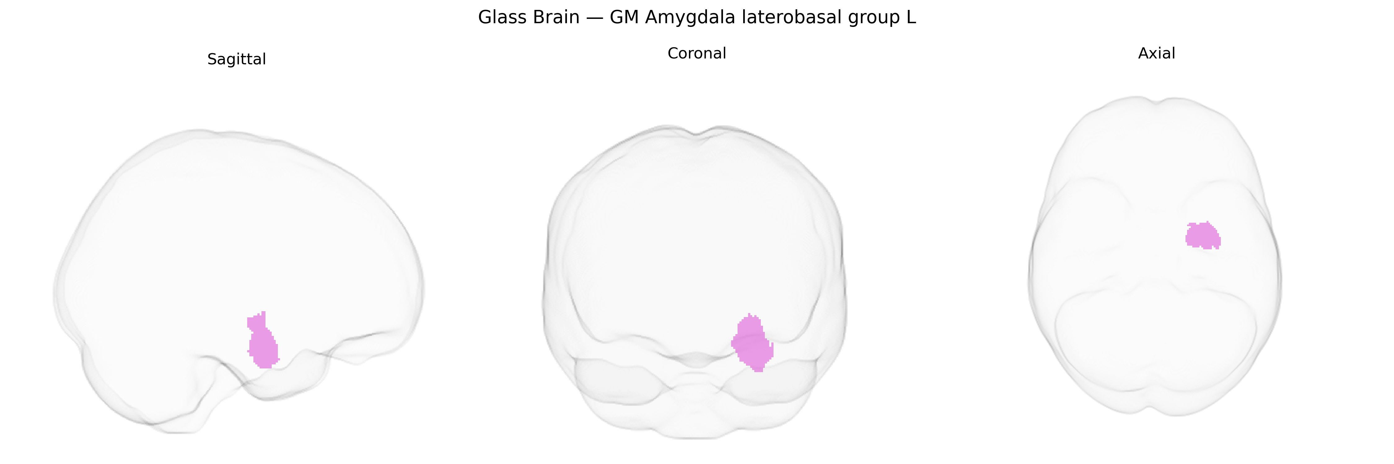 Triplanar Ghost Brain