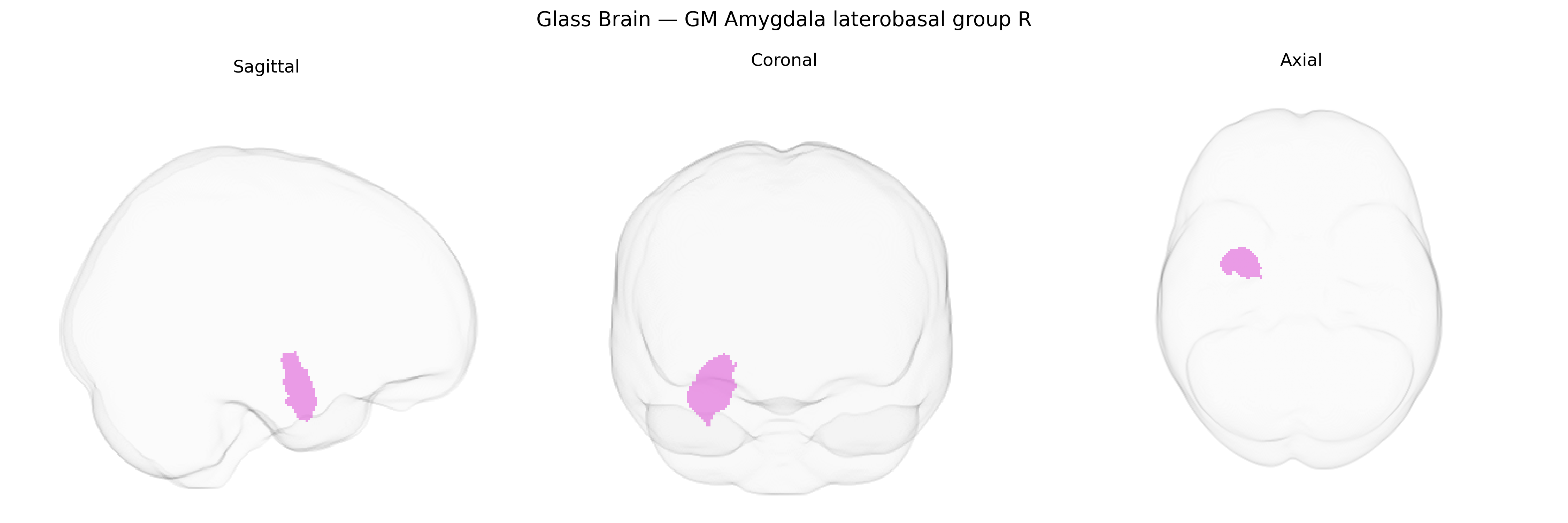 Triplanar Ghost Brain