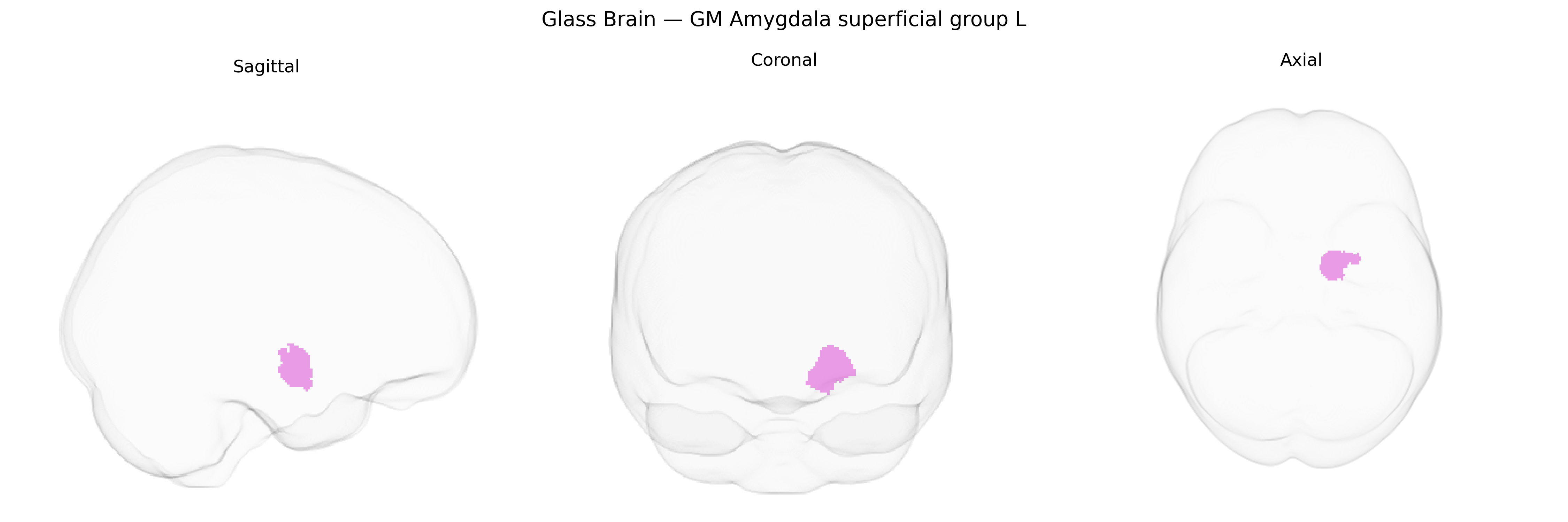 Triplanar Ghost Brain