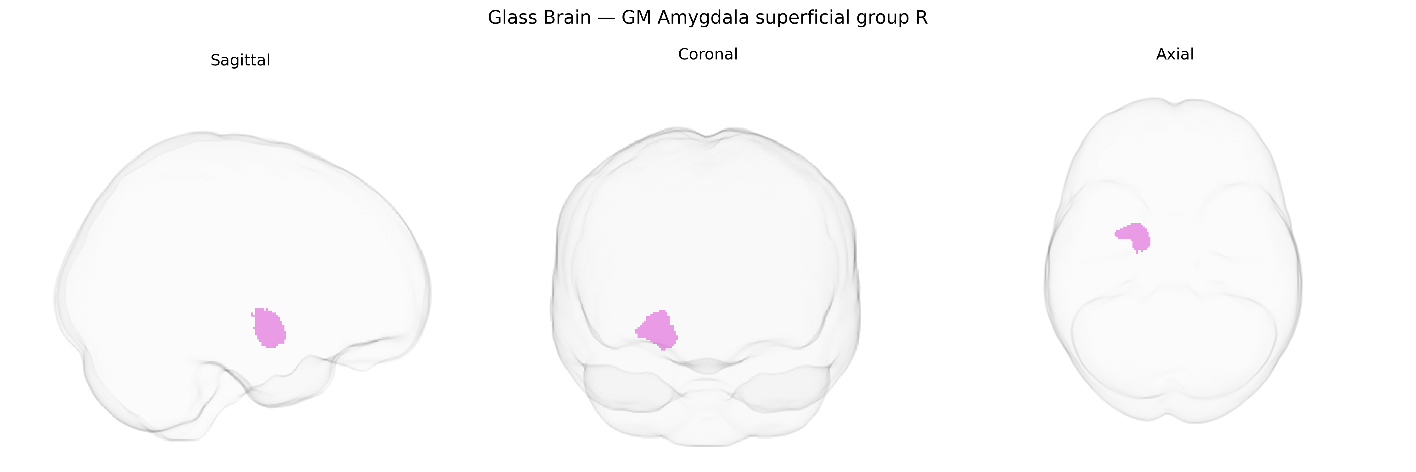 Triplanar Ghost Brain