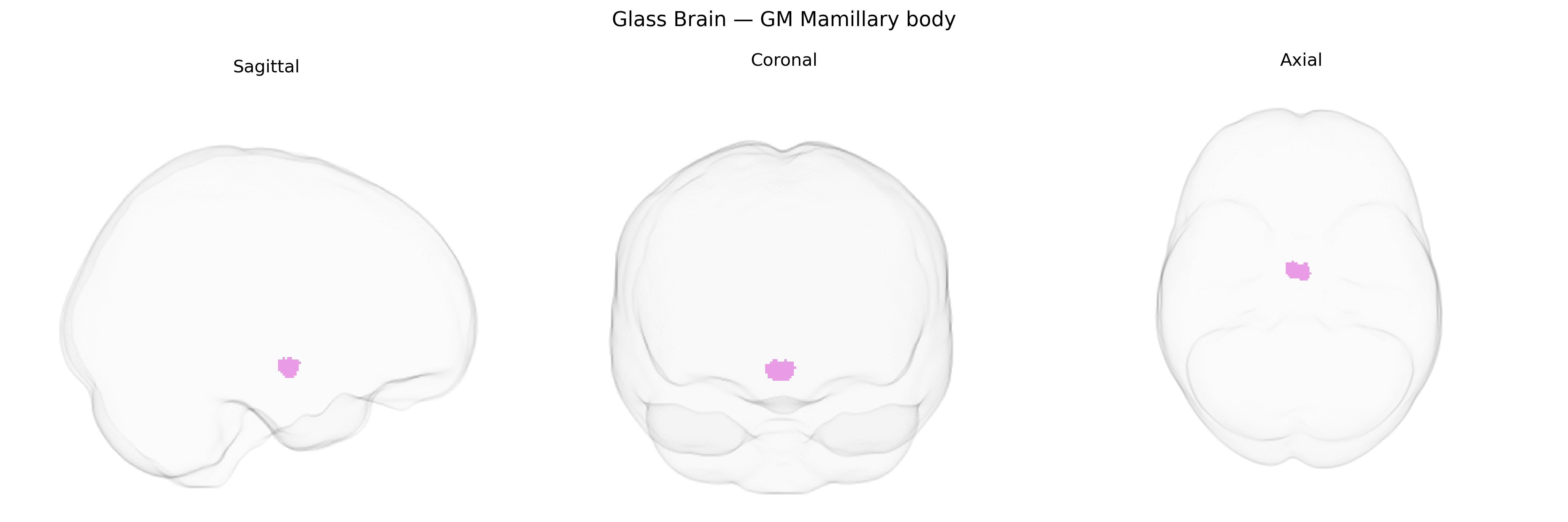 Triplanar Ghost Brain