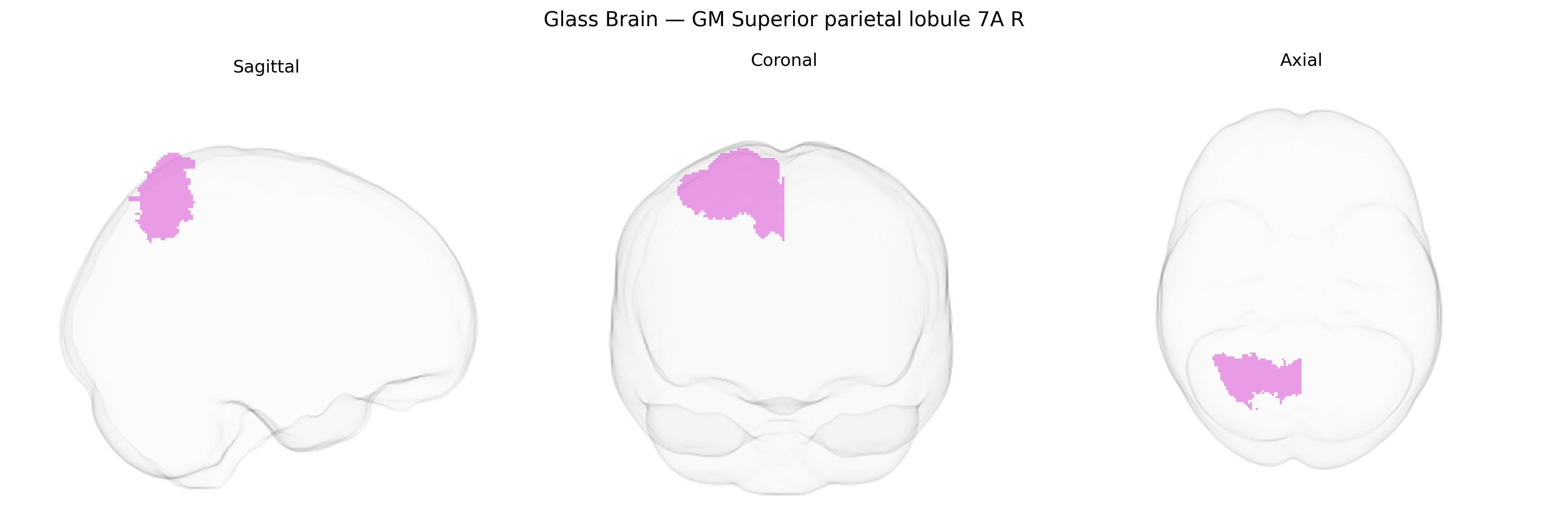 Triplanar Ghost Brain