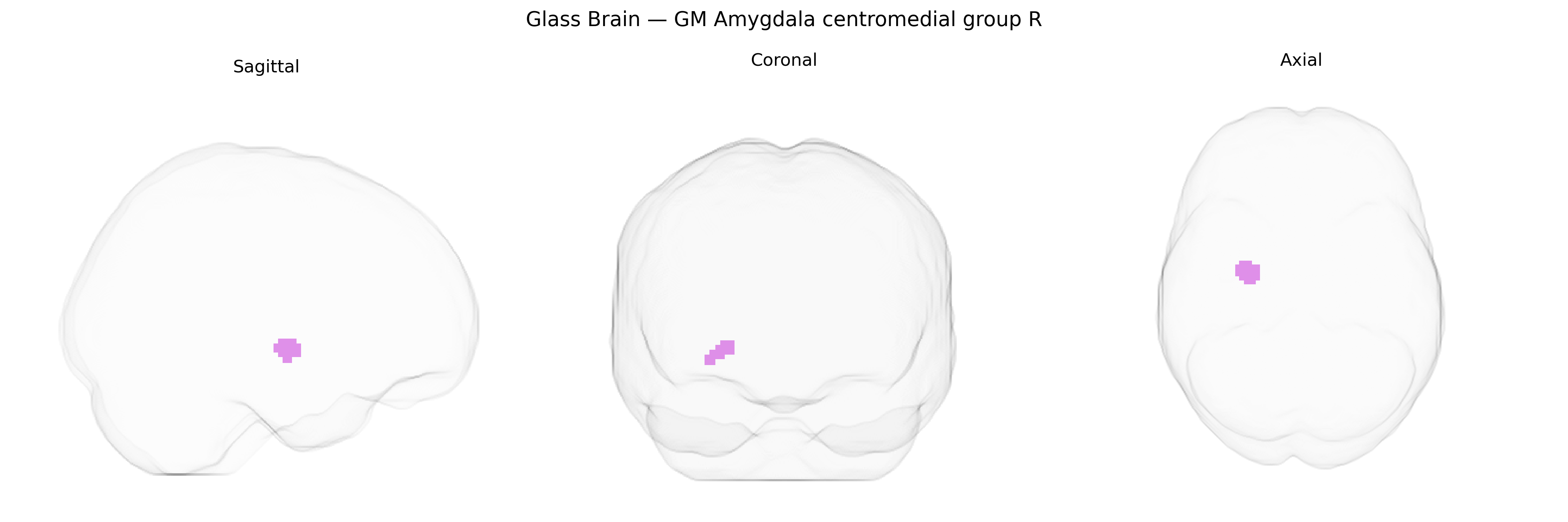 Triplanar Ghost Brain