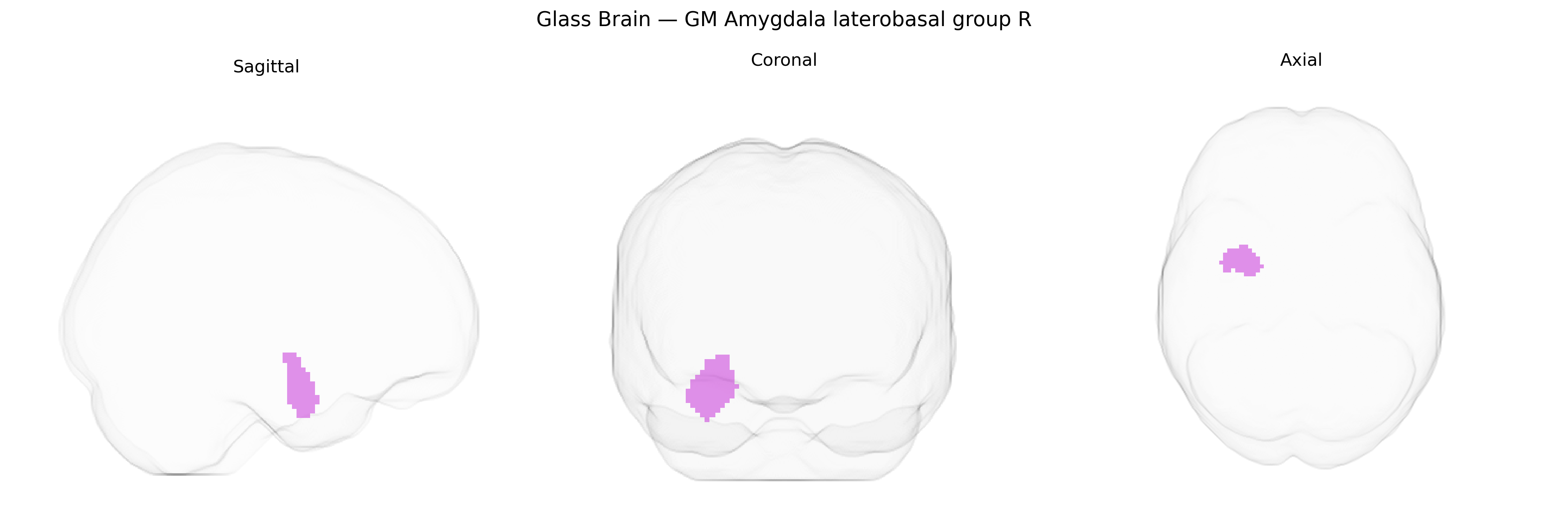 Triplanar Ghost Brain
