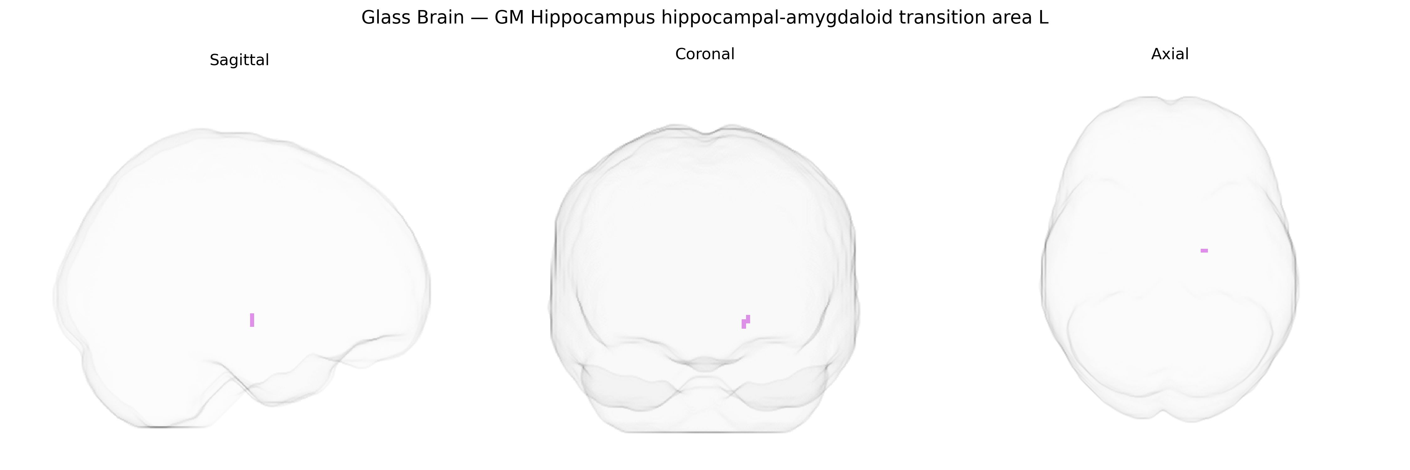 Triplanar Ghost Brain
