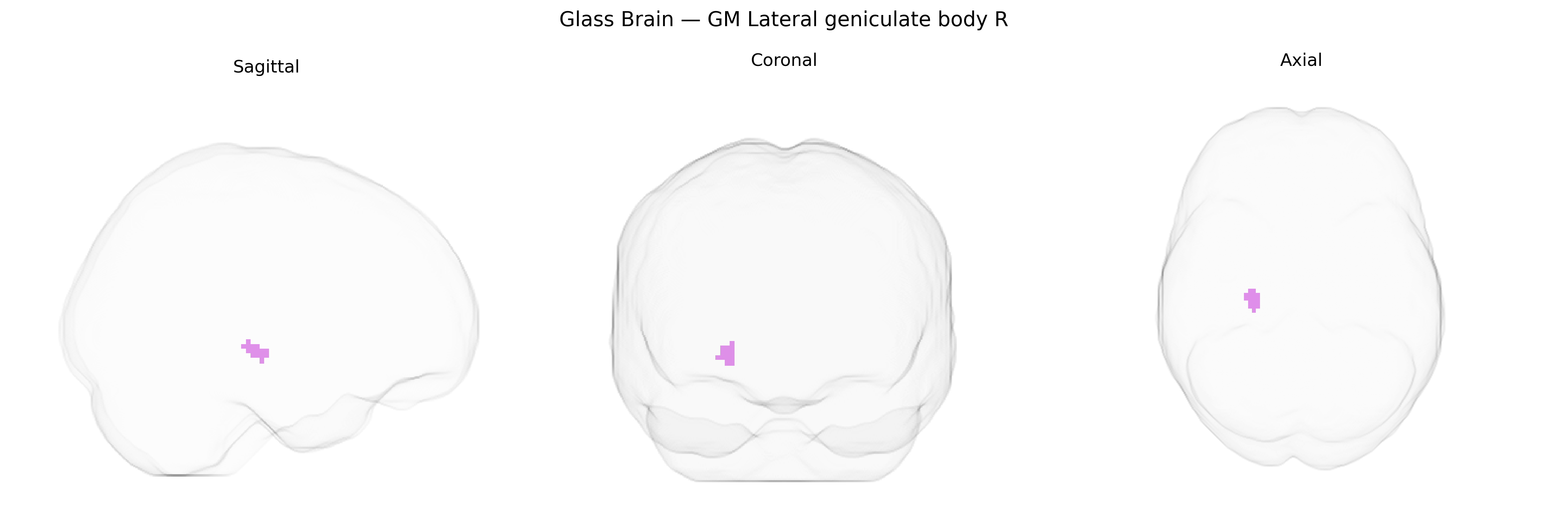 Triplanar Ghost Brain