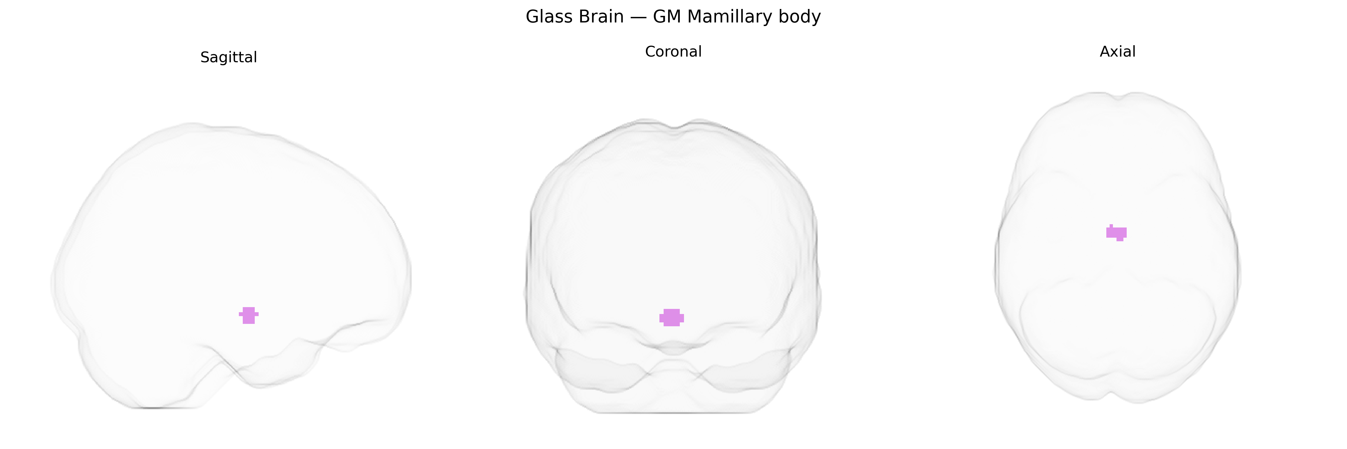 Triplanar Ghost Brain