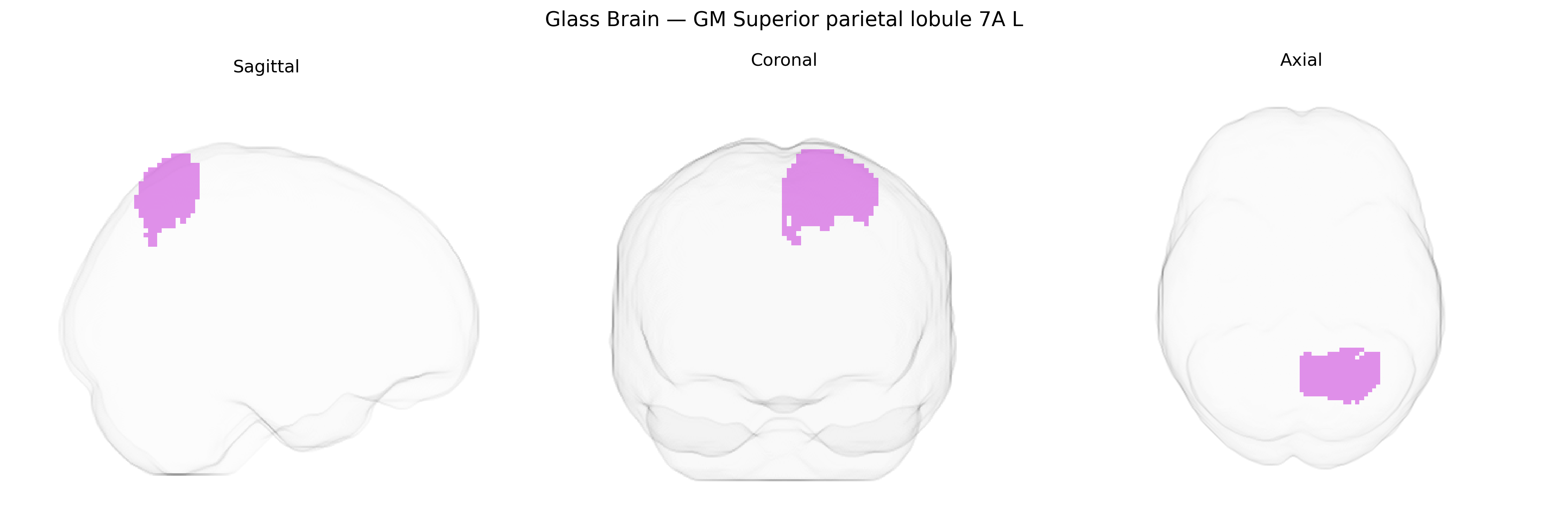Triplanar Ghost Brain