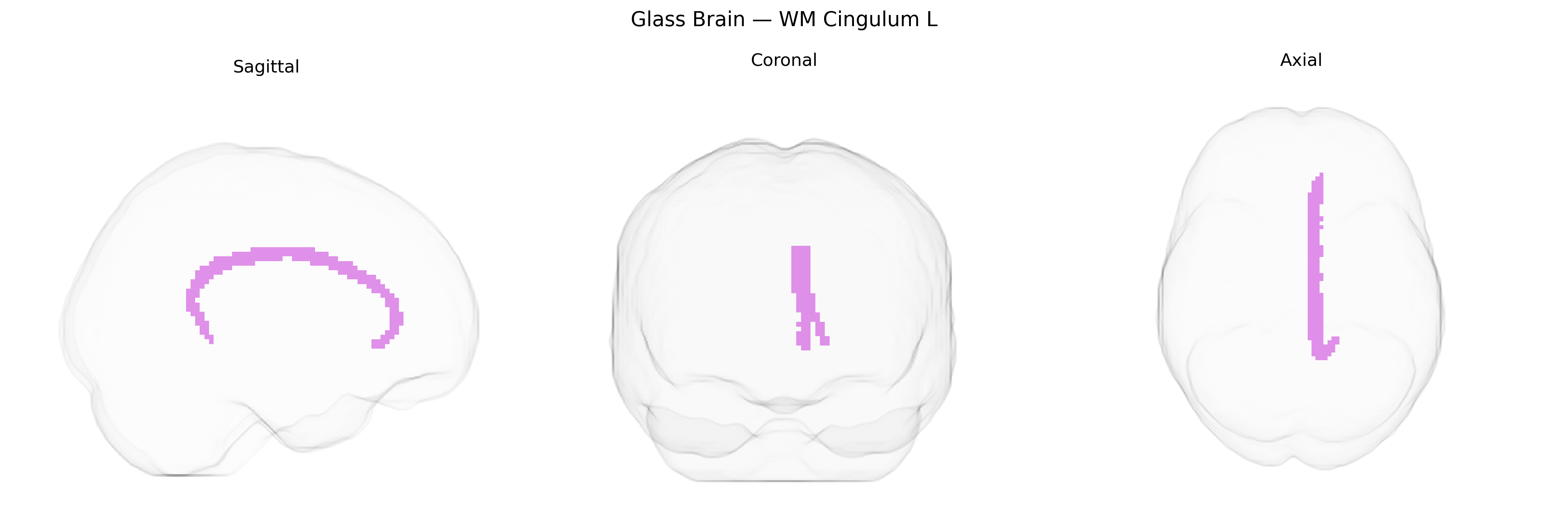 Triplanar Ghost Brain
