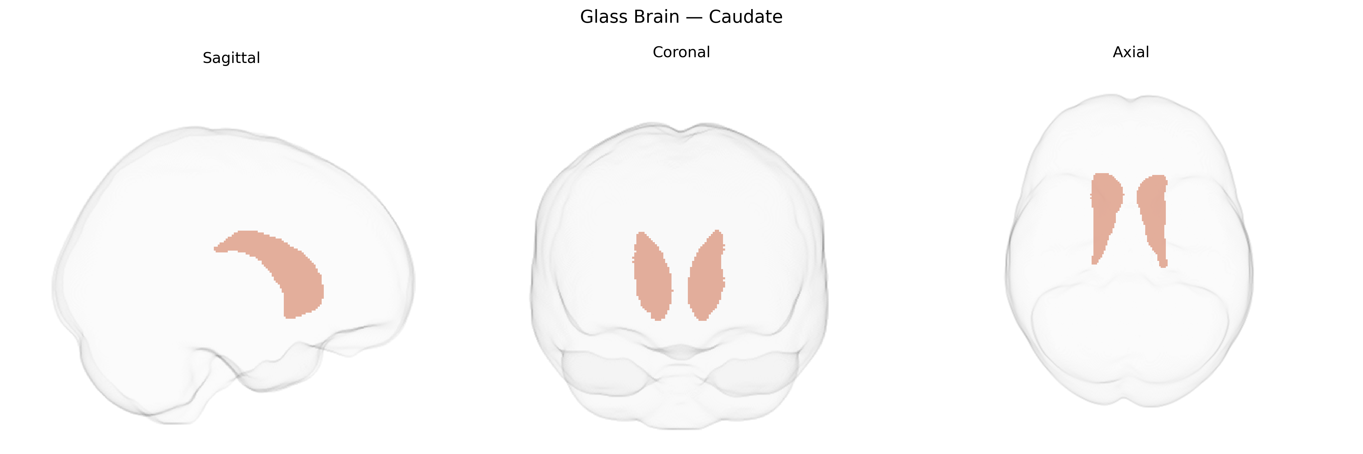 Triplanar Ghost Brain
