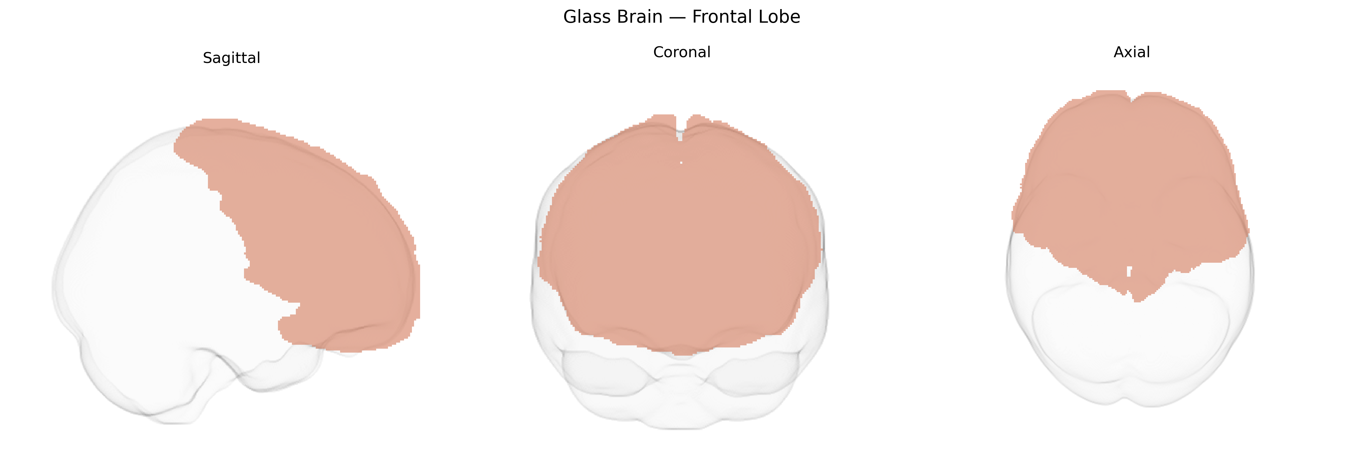 Triplanar Ghost Brain