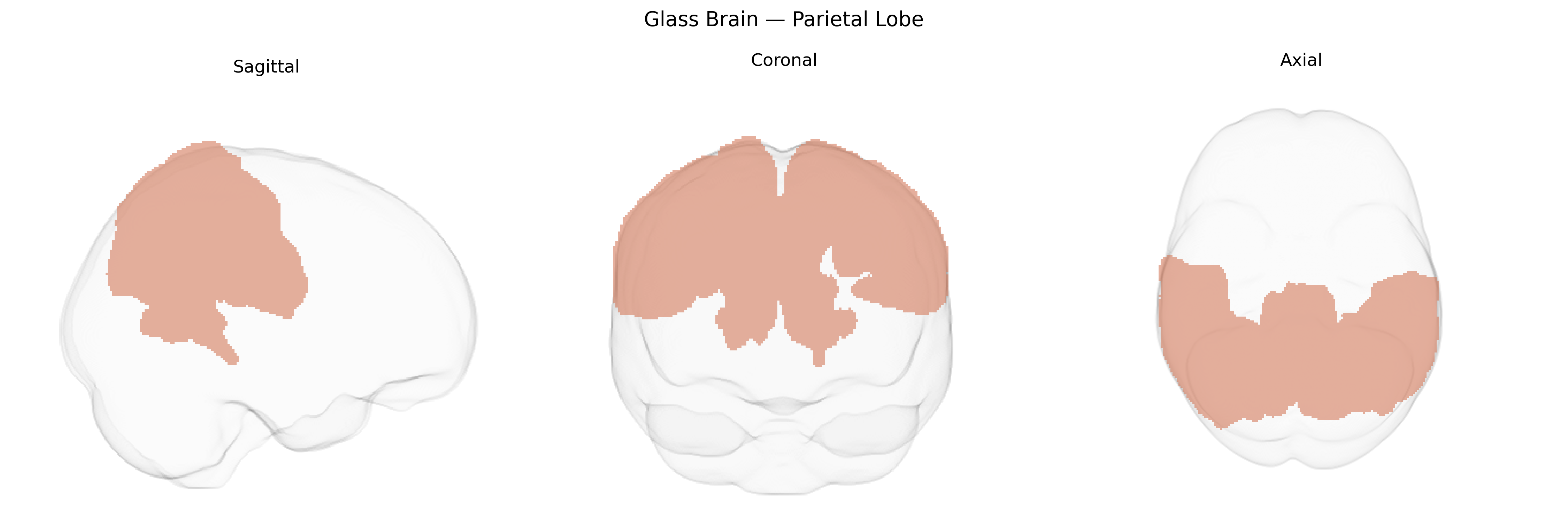 Triplanar Ghost Brain